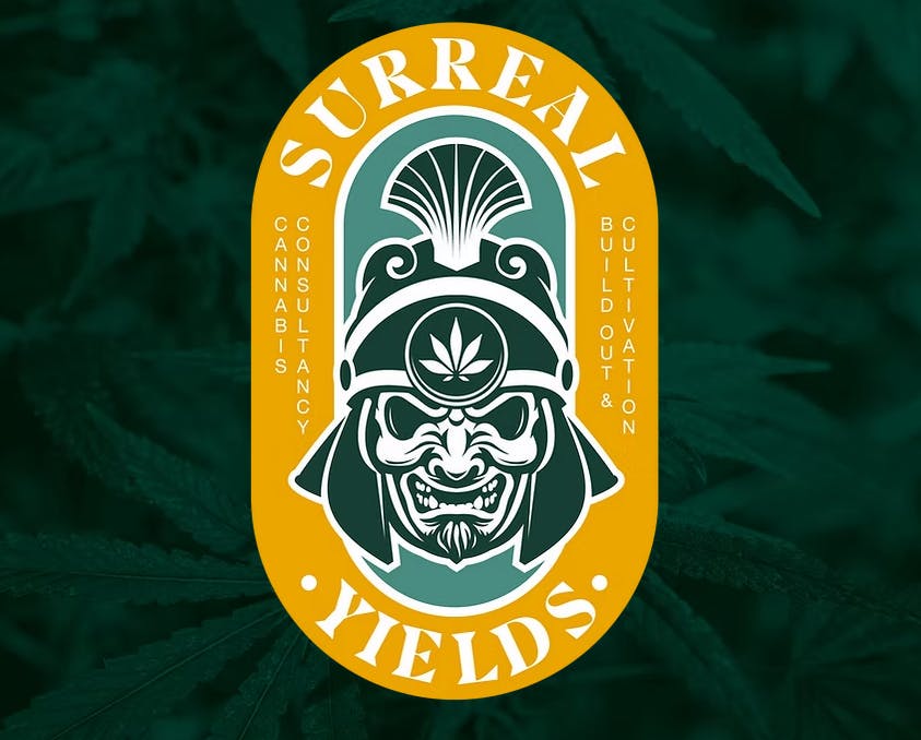 Surreal Yields: Houdini OG