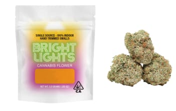 Bright Lights: Lemon Light