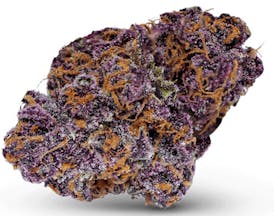 High Rollers - Flower - Black Sour Tropicana Cookies (SH) - Bulk