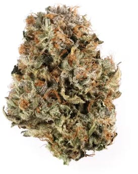 High Rollers - Flower - Celtic Goddess (H) - Bulk