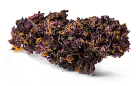 High Rollers - Flower - Grape Pupil (SH) - Bulk