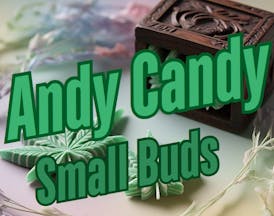 High Rollers - Flower - Andy Candy (iH) - SMOL SMALL - Bulk
