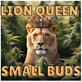 High Rollers - Small Flower - Lion Queen (iH) - SMOL SMALL $4/g - Bulk
