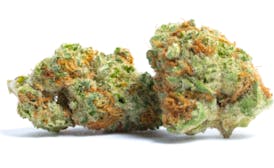 High Rollers - Flower - Celtic Goddess (H) - Bulk