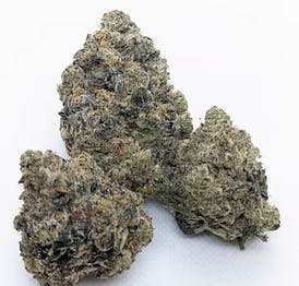 High Rollers - Flower - Devils Pie (H) - Bulk