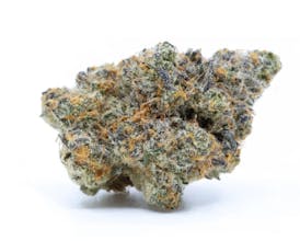 High Rollers - Flower - Zookies (H) - Bulk