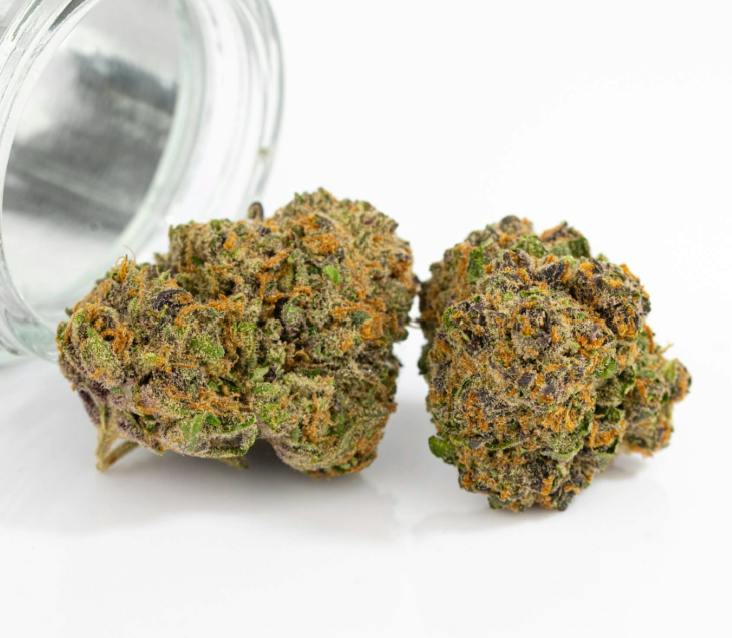High Rollers - Flower - Thousand Oaks (iH) - Bulk