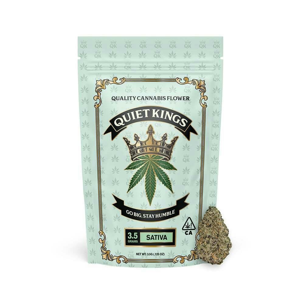 Quiet Kings: Cat Piss