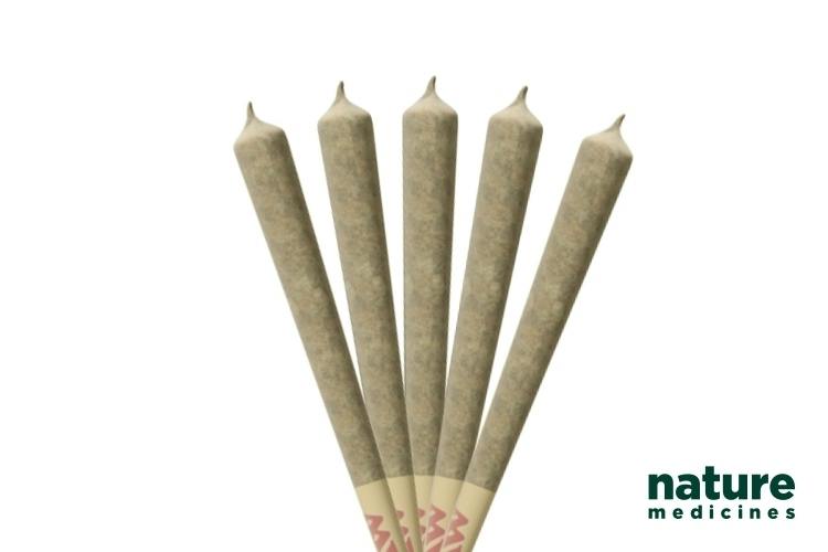 Nature's Infused Preroll (5x1g) Lemon Jack