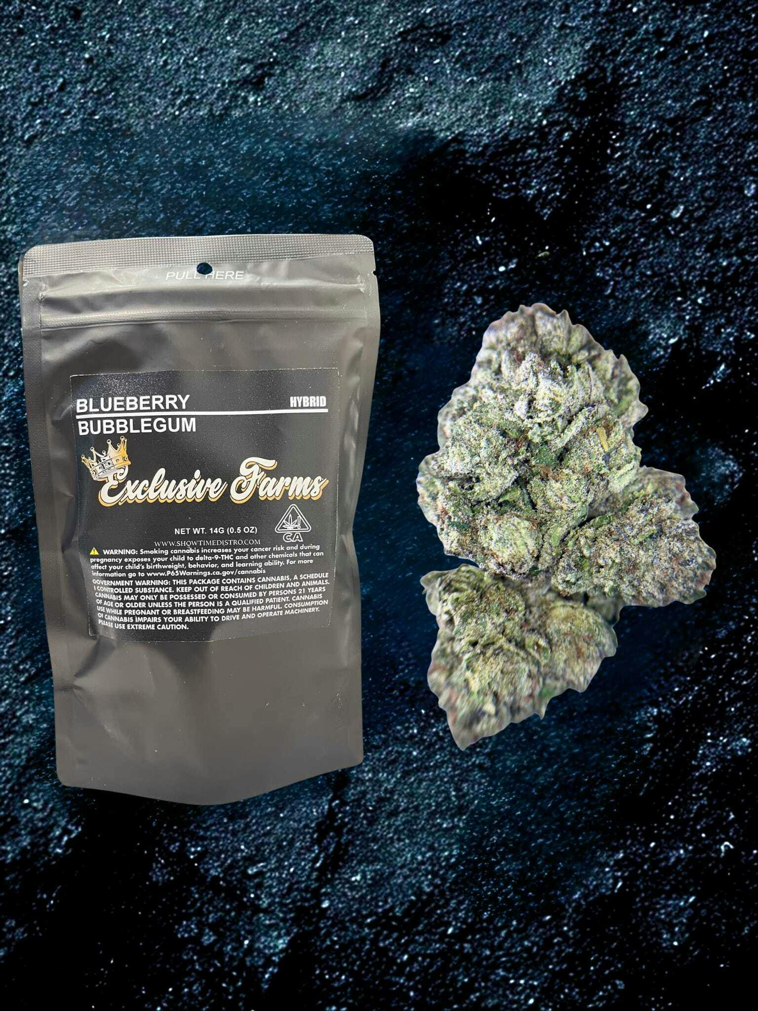 Exclusive - Blueberry Bubblegum 14g - 14 grams