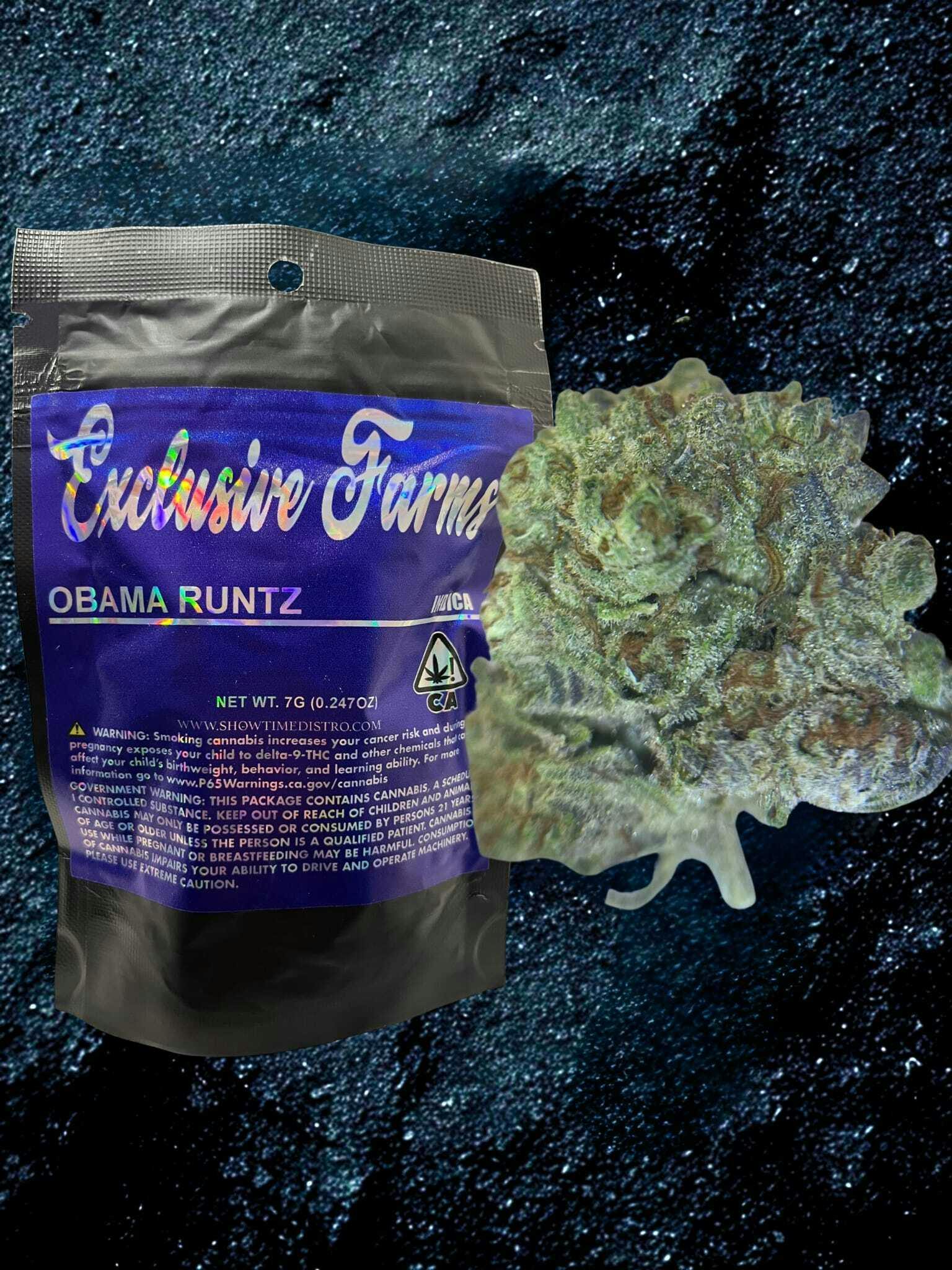 Exclusive - Obama Runtz 7g (20) - 7 grams