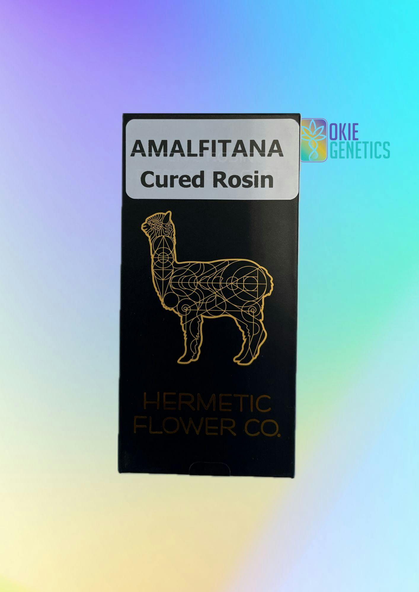 Hermetic Cured Amalfitana