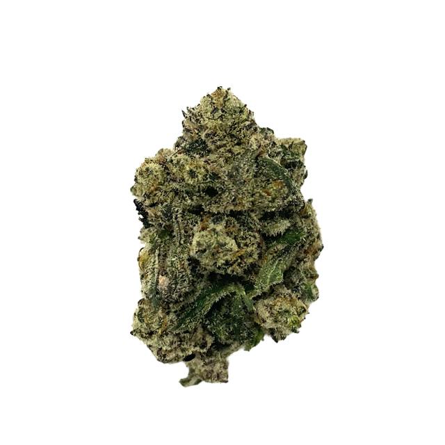 CREAM CITY | WET PANTIES | DELI at Apothecare Weed Provisioning Center Houghton Lake