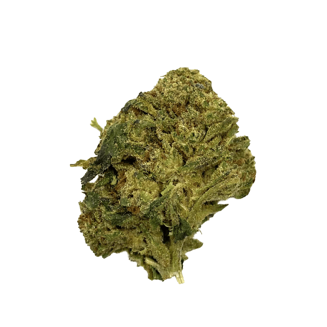 GRIP | DETROIT DIESEL | 3.5G