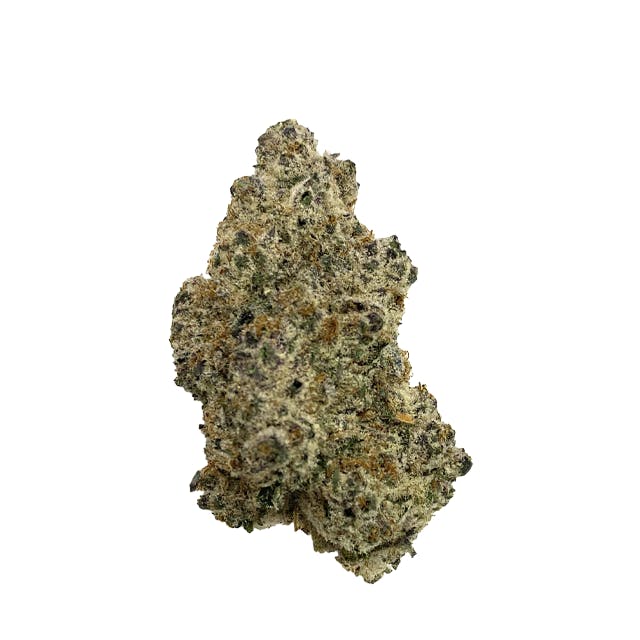 DOCTOR JC EXOTICS | SUB ZERO | DELI