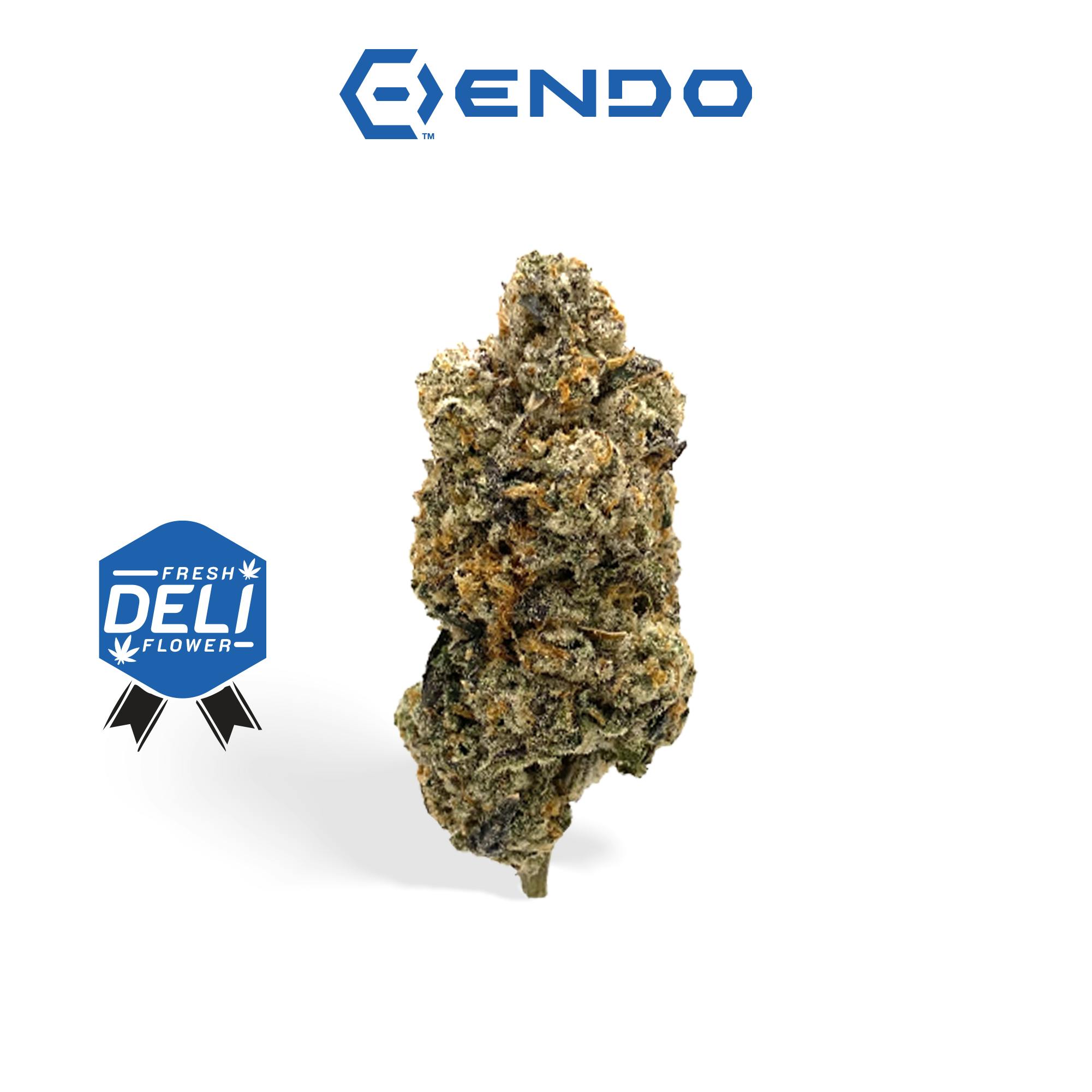 ENDO | RUNTZATTA | DELI