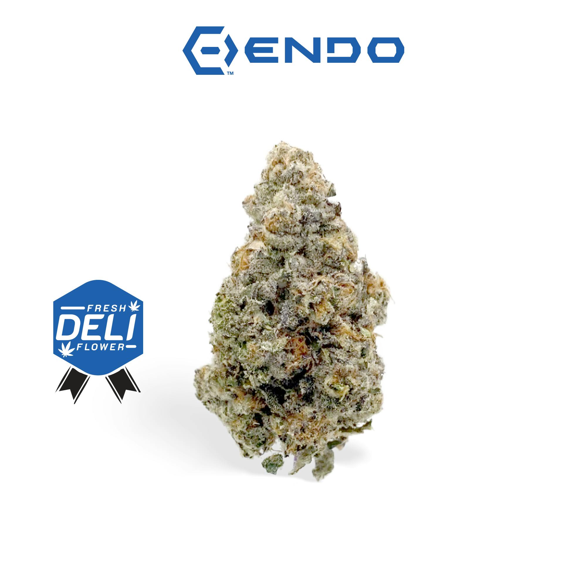 ENDO | THE MISTRESS | DELI