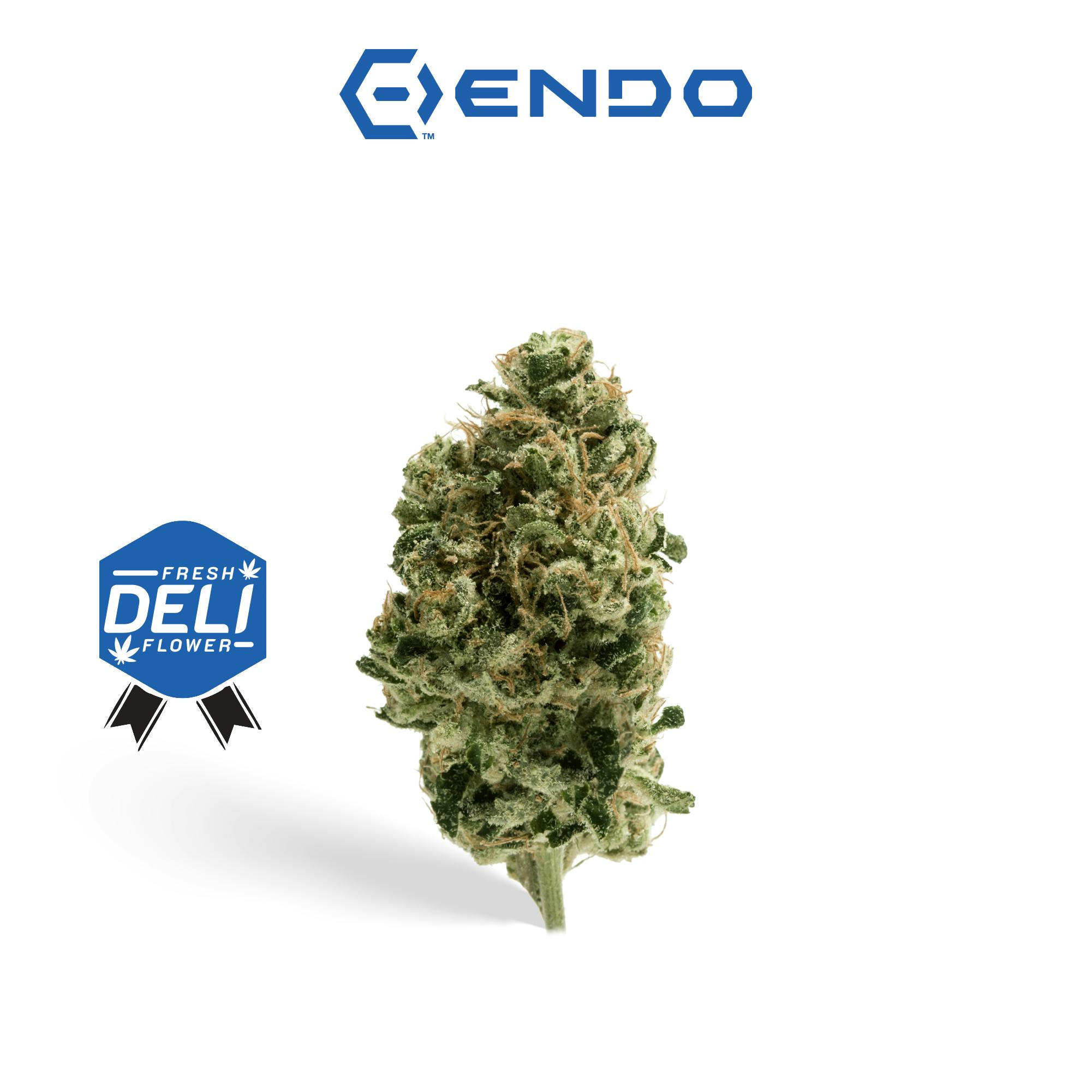 ENDO | BANAFFY TAFFY | DELI FLOWER