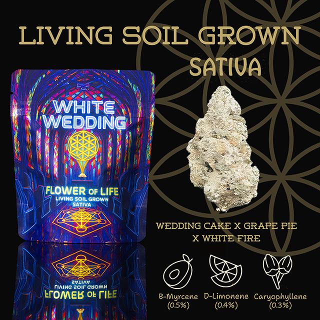 FLOWER OF LIFE | WHITE WEDDING | 3.5G