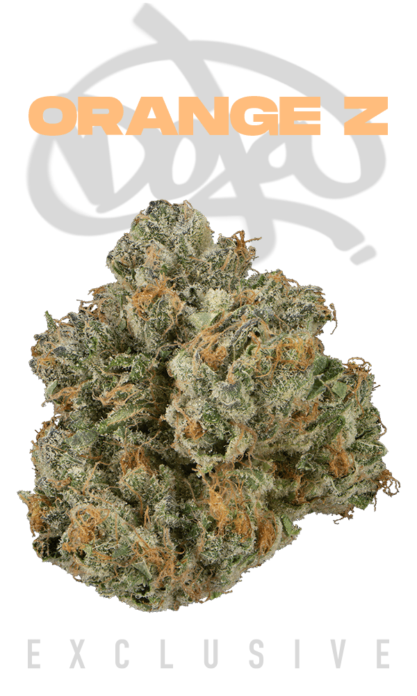 Orange Z Eighth