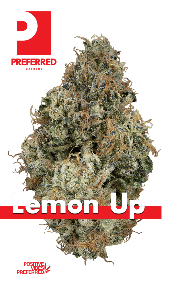 Lemon Up Eighth (Glass Jar)