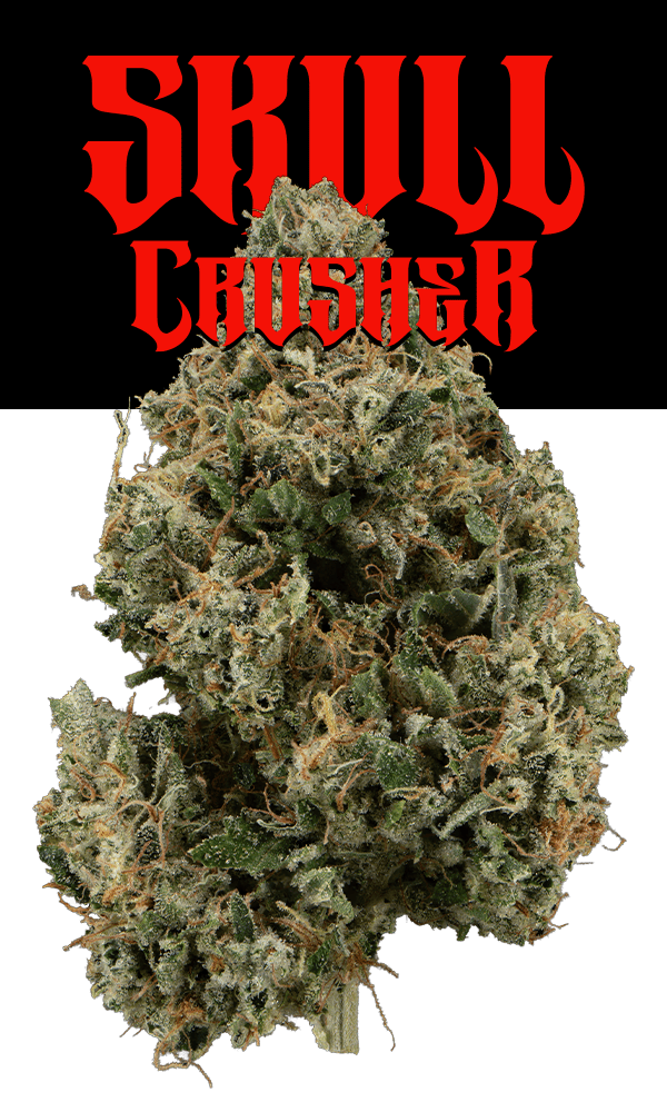 Josh D 3.5g Flower -Skull Crusher #20 (Glass Jar)