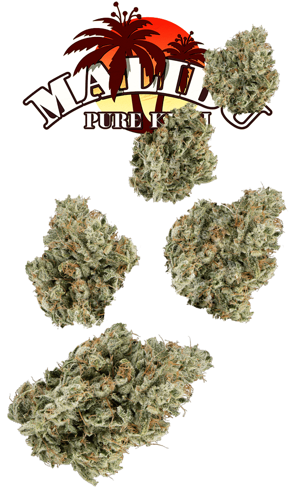 Malibu Pure Kush 7g Juniors
