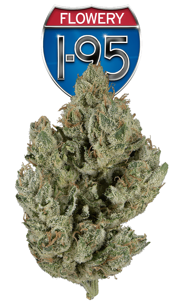 I95