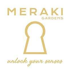 Meraki Mango Badder