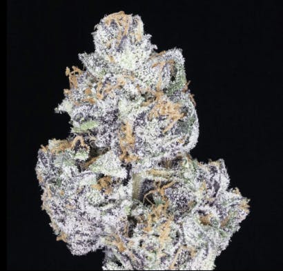 JAHnetics - Bubble Gum JAH 🫧 - Eighth