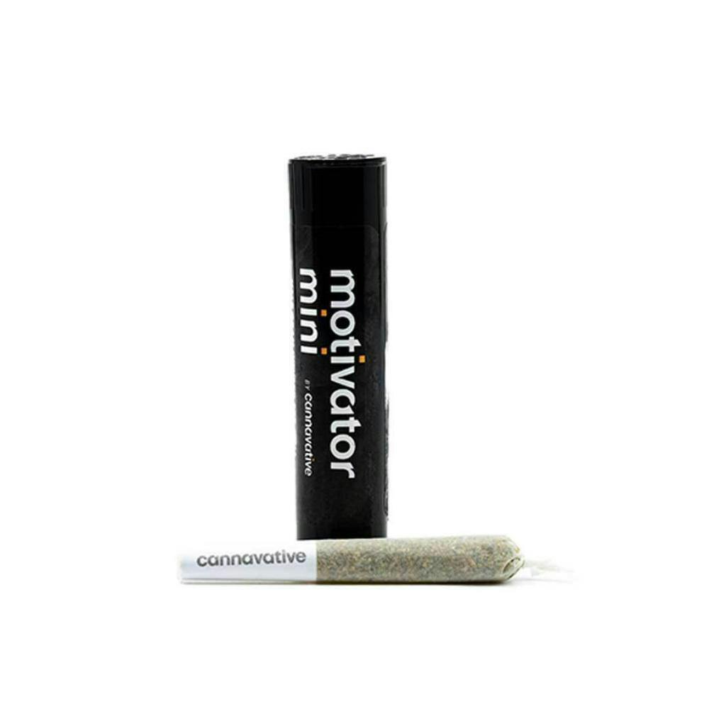 Cannavative Motivator Gentleman Jack Infused Pre-Roll 0.5g