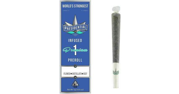 Presidential Grape Infused Pre-Roll 1g