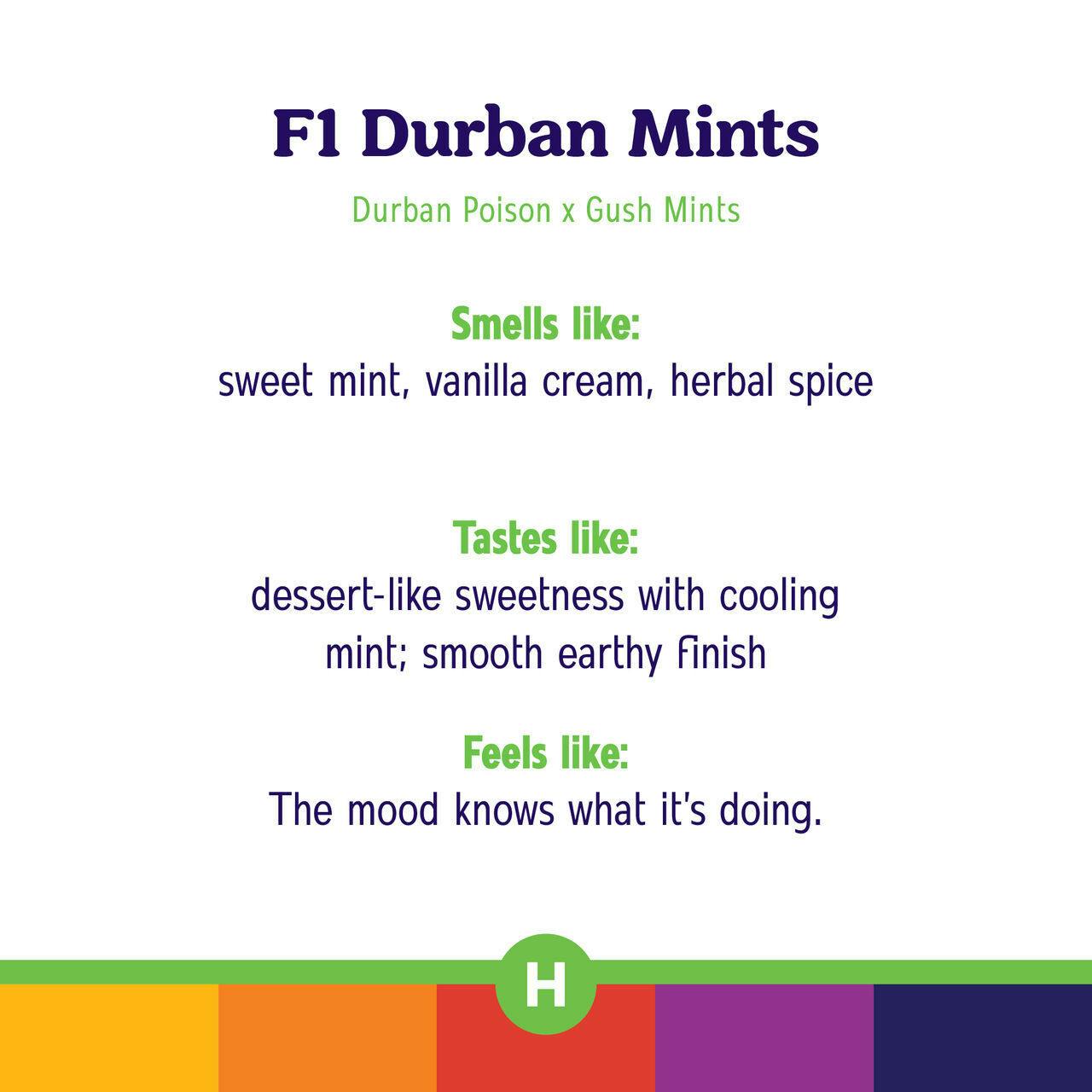 F1 Durban Mints Crumble