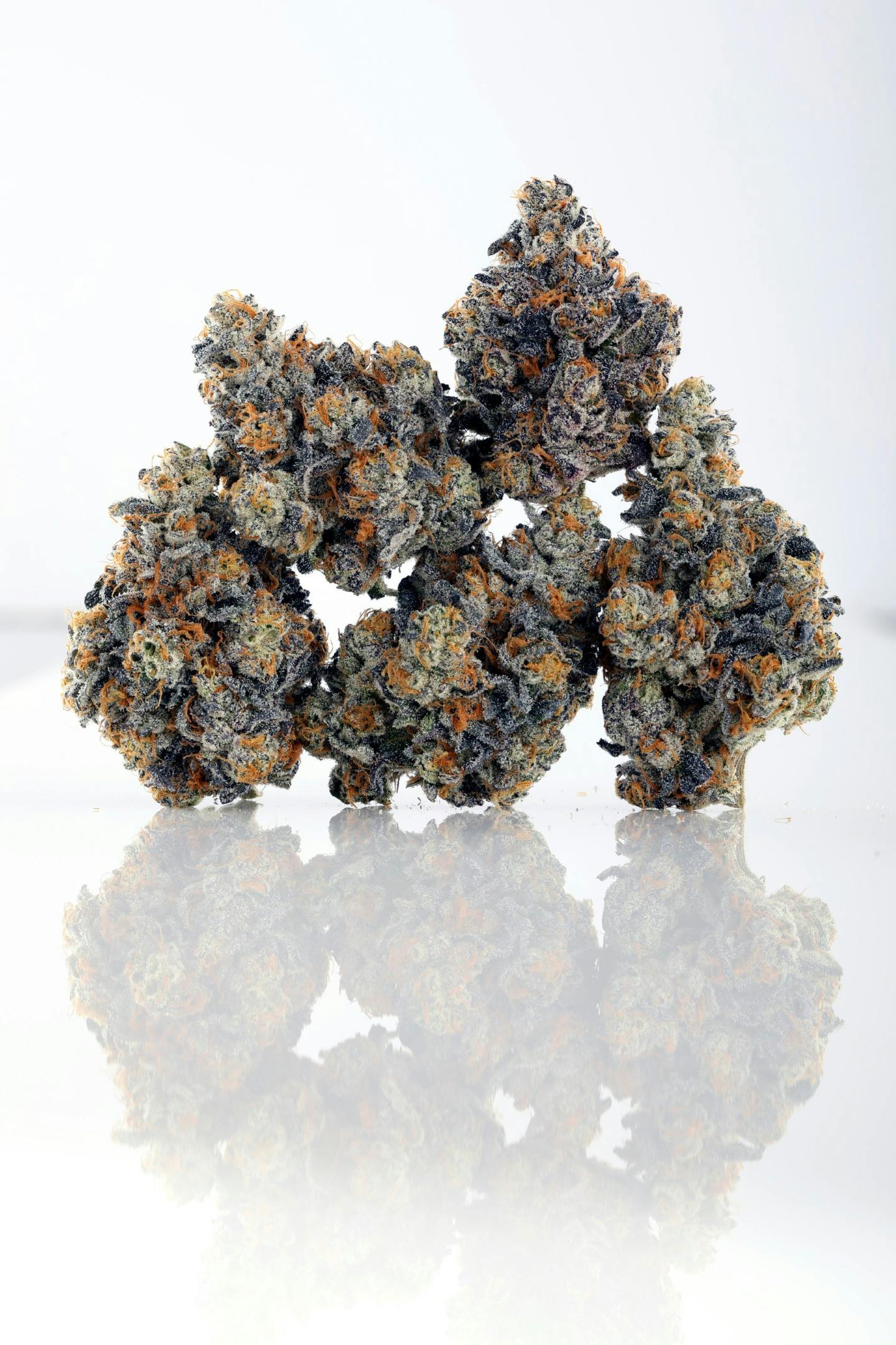 Herbal Dynamics: Heavy Gas - Top Shelf $