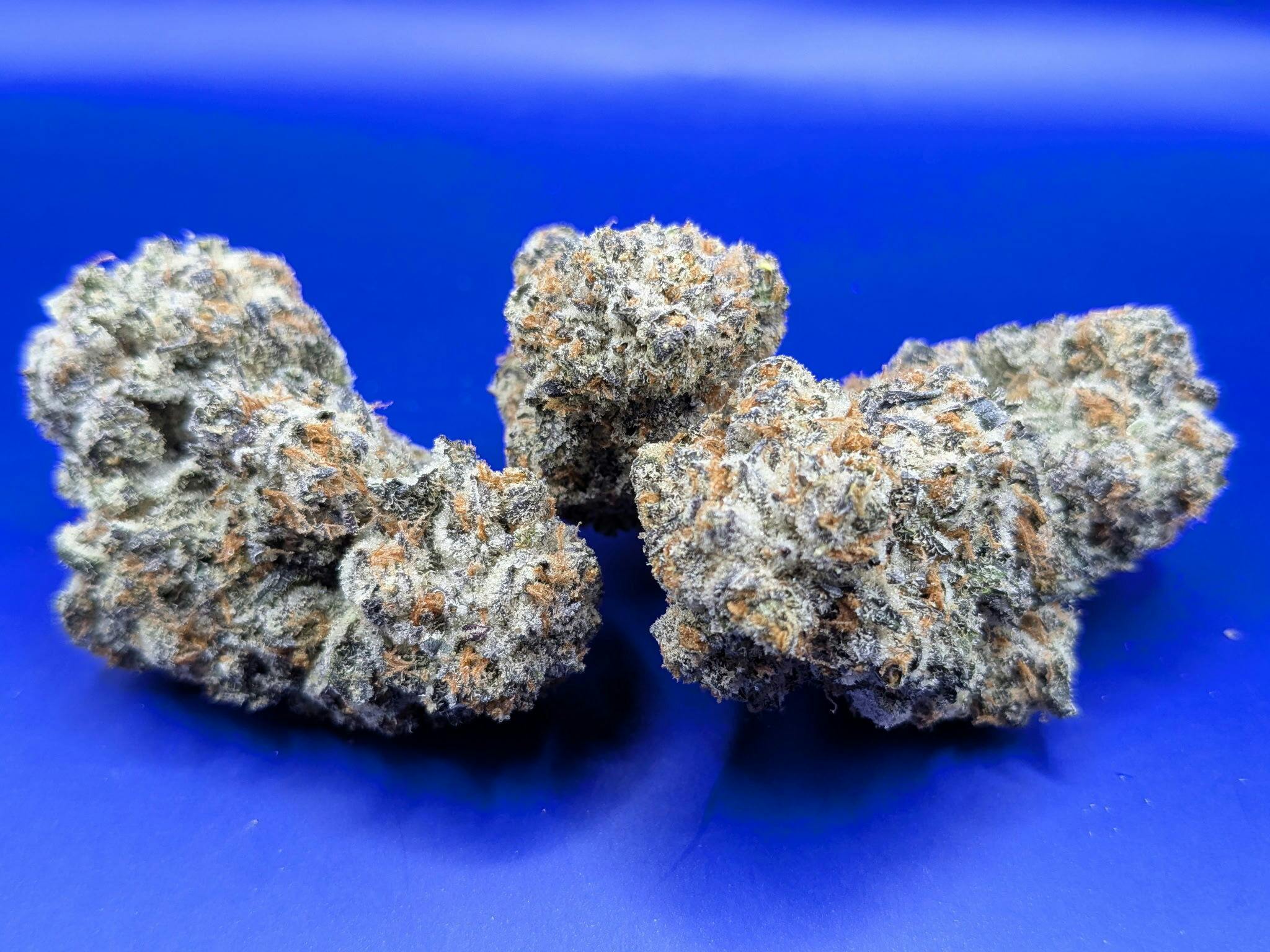 Excolo: Pure Michigan