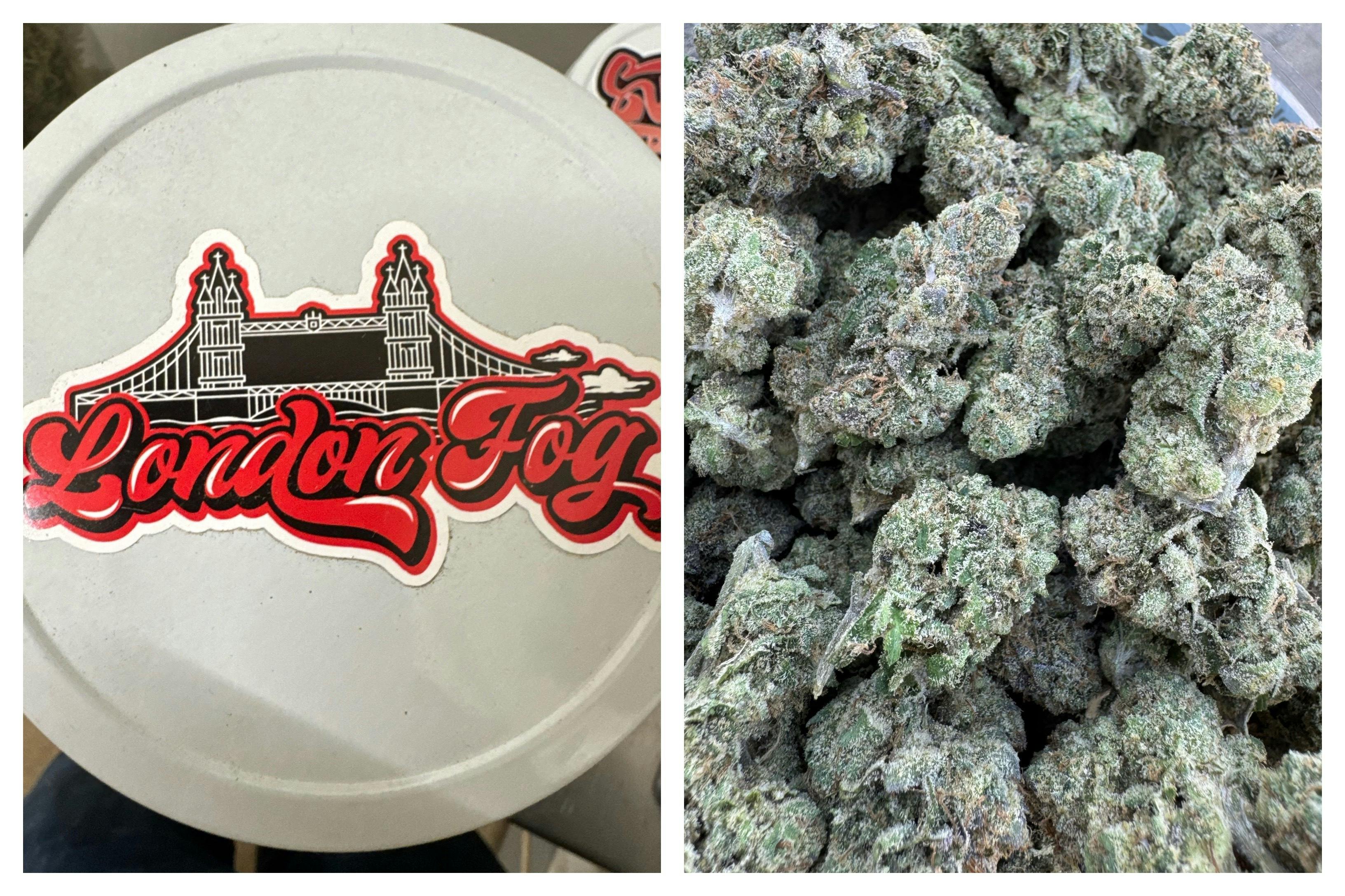 Excolo: London Fog