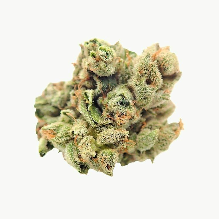 Papa's Herb | Flower | Donny Burger | 3.5g