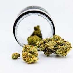 Papa's Herb | Flower | Sour Tangie | 3.5g