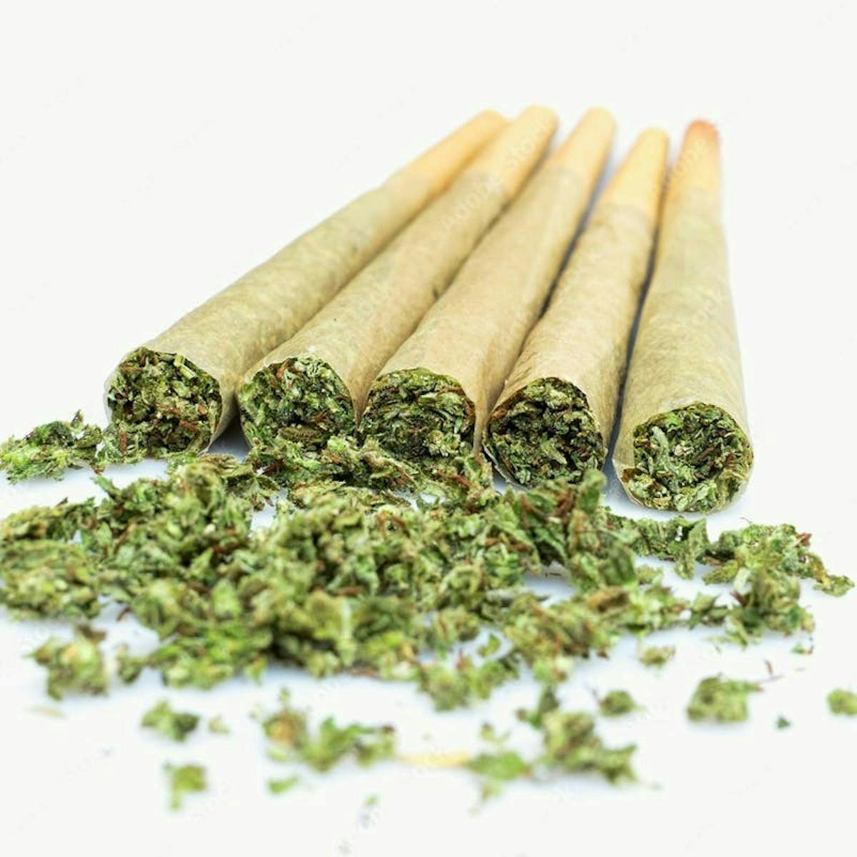Dank | Preroll | Gas Face | 1g