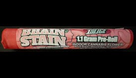 1Slice - Brain Stain - Pre-Roll - 1.1g