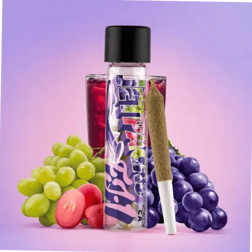 Jetpacks - Purple Punch - Big Bang Infused Preroll - 1g