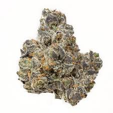FLWR City - Apple Fritter - Hybrid Dub - 2g