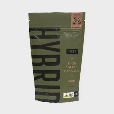 1937 - Gastropop - Indica Half Ounce - 14g