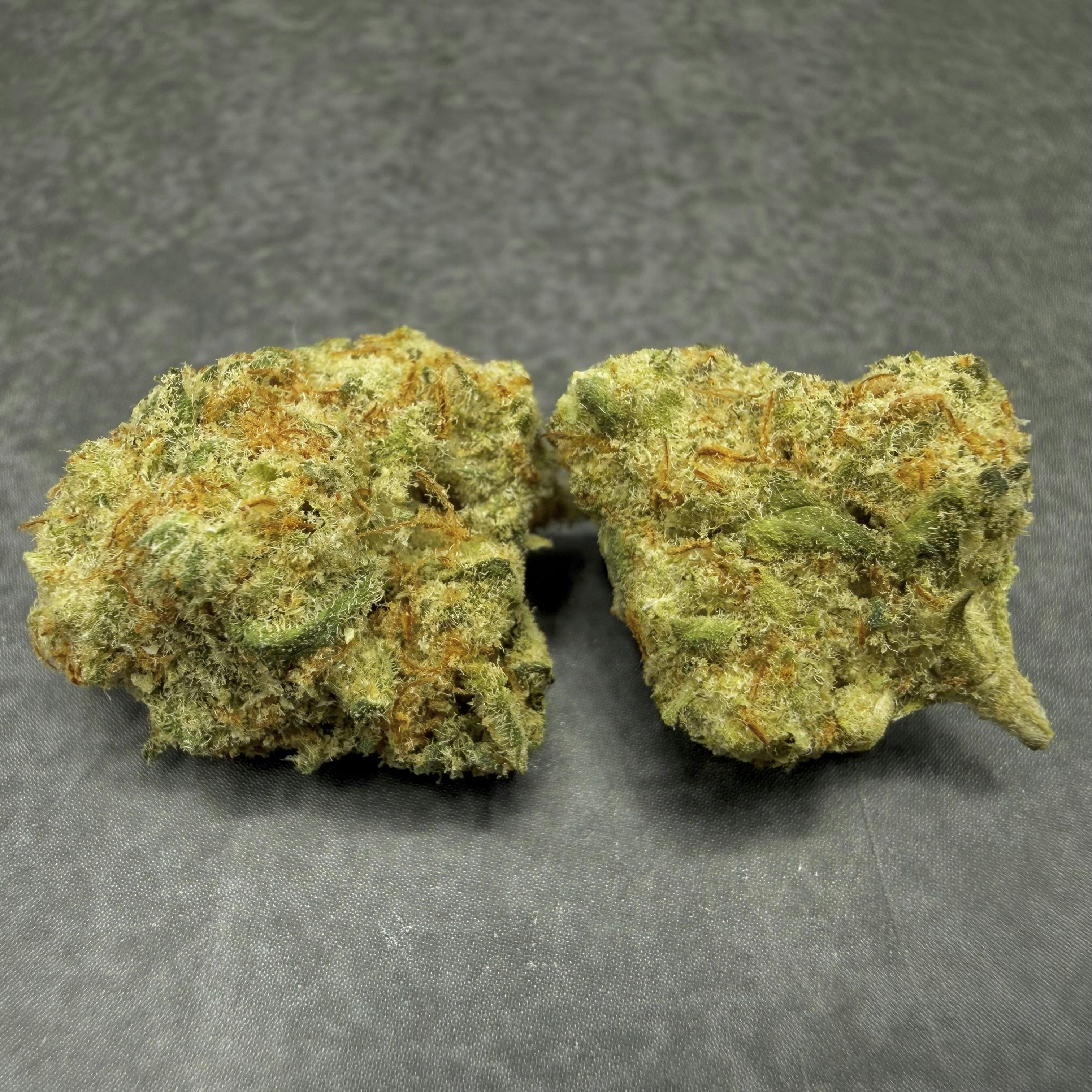 Platinum Gucci Smalls Flower | Hybrid | Mainely THC