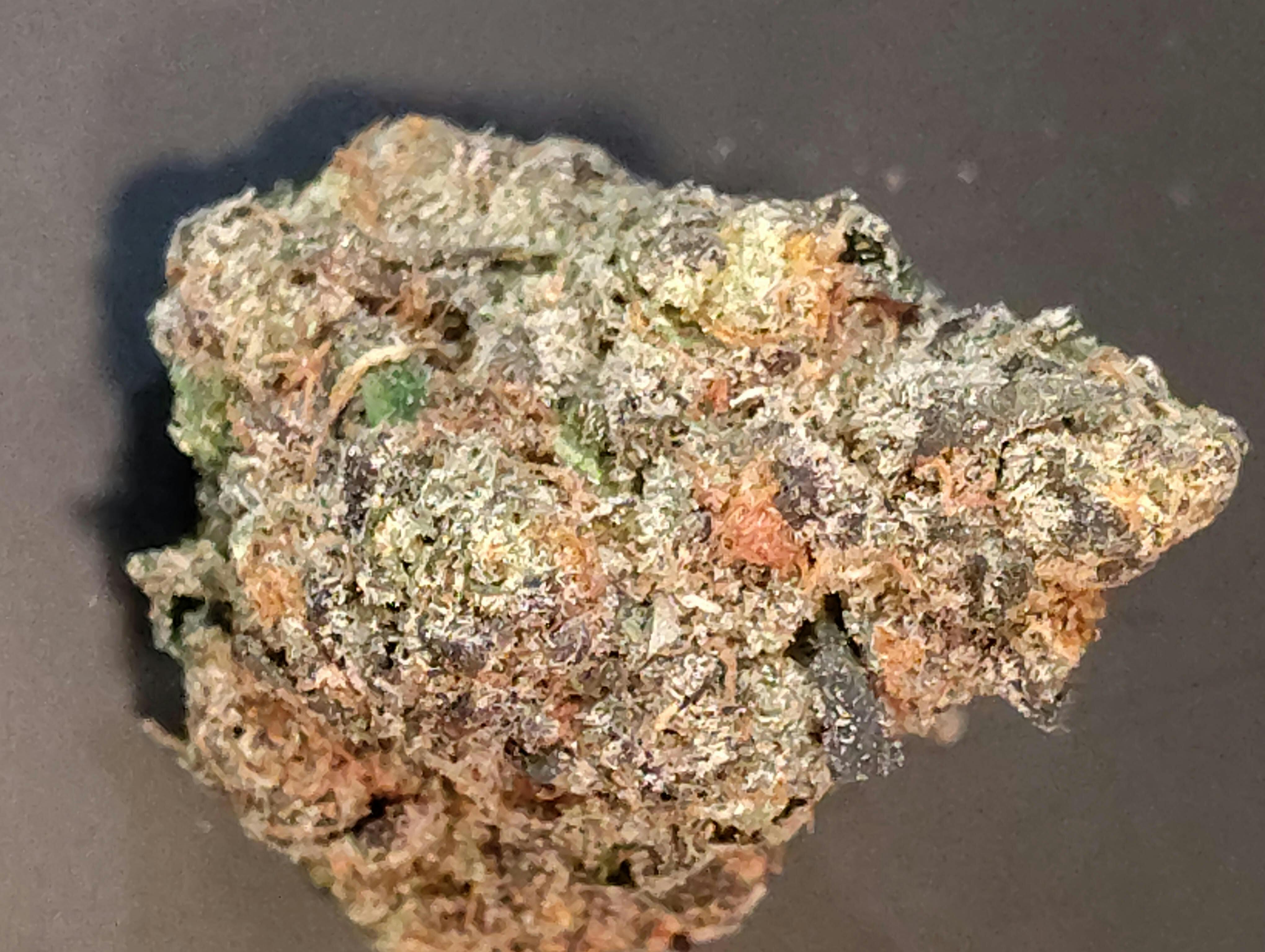 Tokyo Candy | Hybrid Deli Flower | The Magic Box