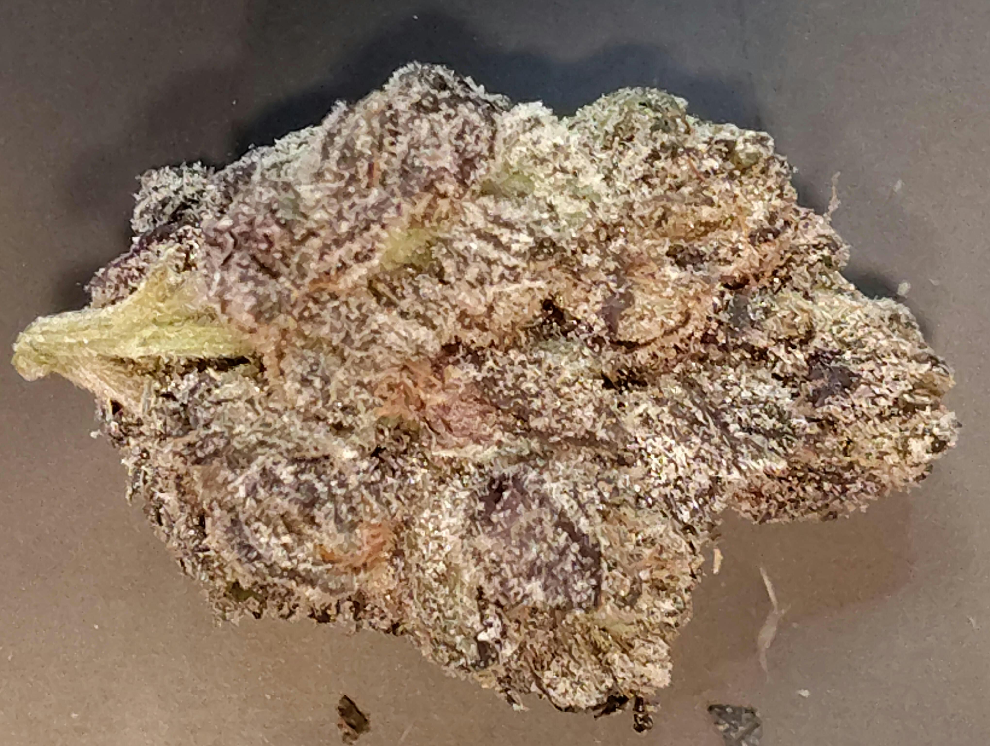 Hardest ZA | Hybrid Deli Flower | The Magic Box