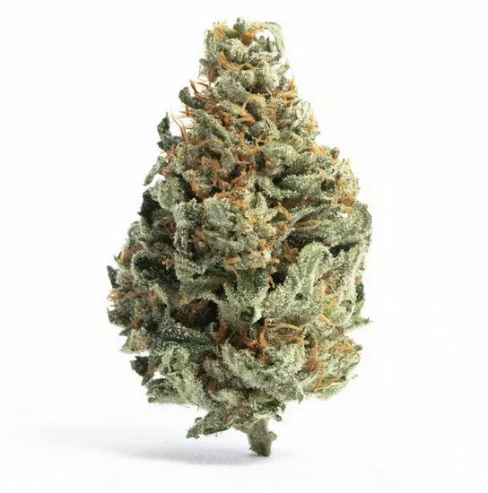 White Runtz | Hybrid Flower | The Magic Box