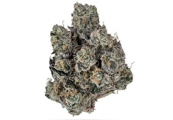 Don Mega | Deli Jar | Indica Hybrid | The Magic Box