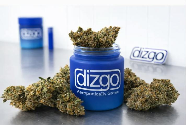 Hyperion - Preroll - .5g - 2ct - Dizgo at MN THC Co - Dundas