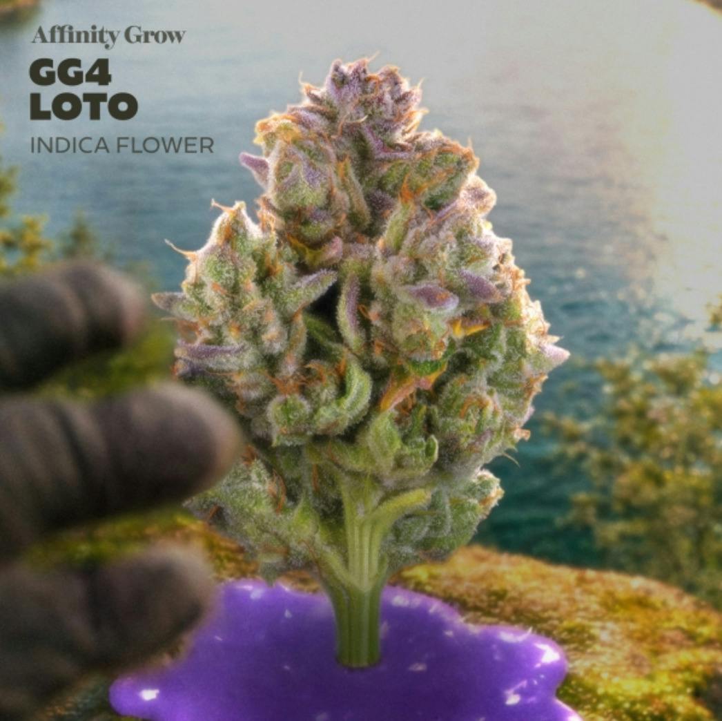 GG4 LOTO | Pre-Pack | 3.5g | 00934